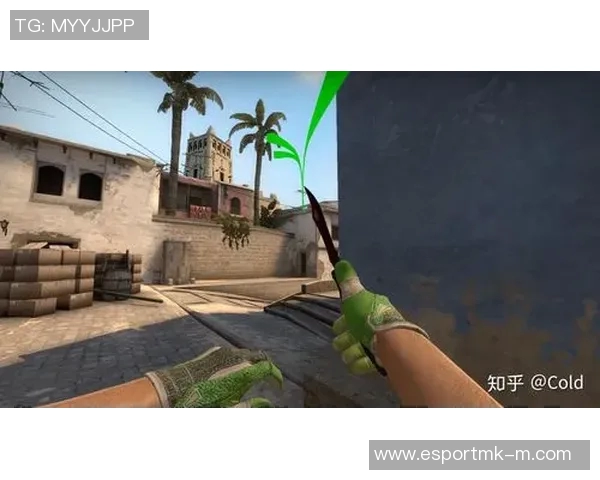 CSGO评论JDG在战术转换中的得失分析与未来展望